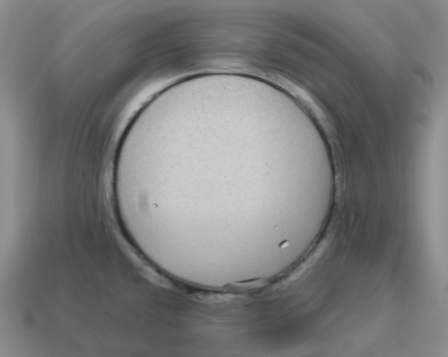 X0000114211432200911061436