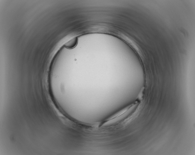 X0000114211434200911061436