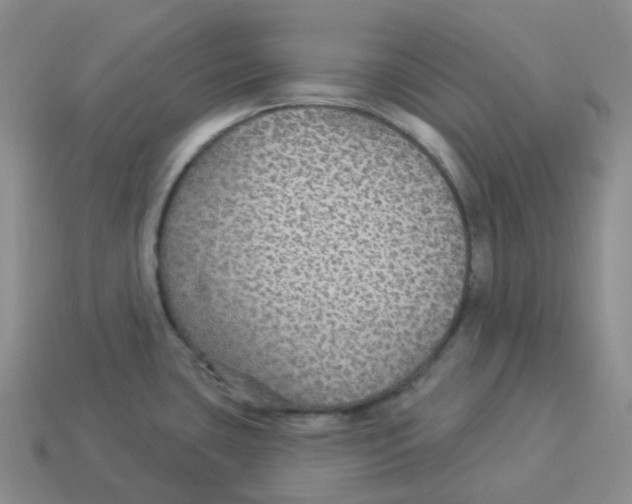 X0000114211435200911061436