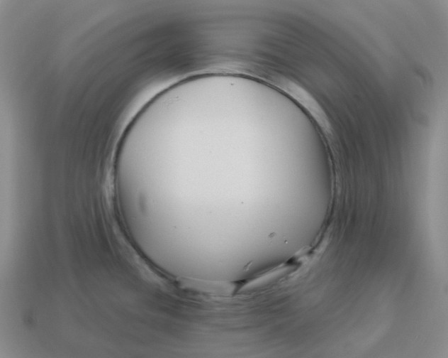 X0000114211436200911061436