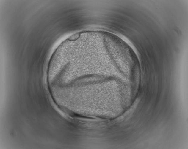 X0000114211437200911061436