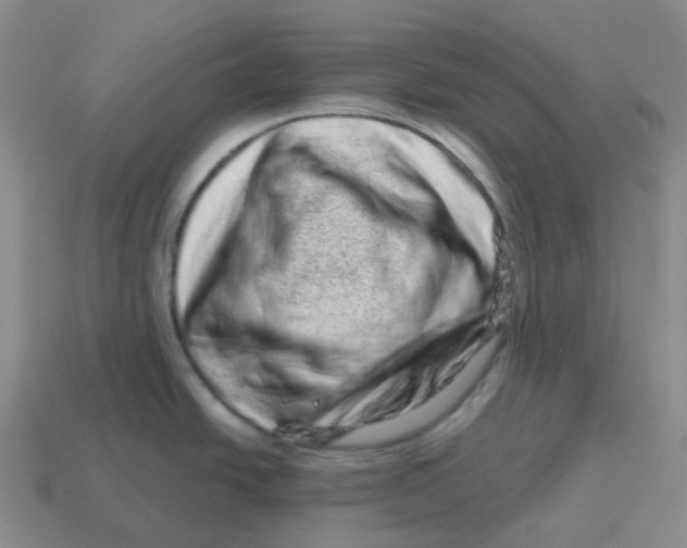 X0000114211438200911061436