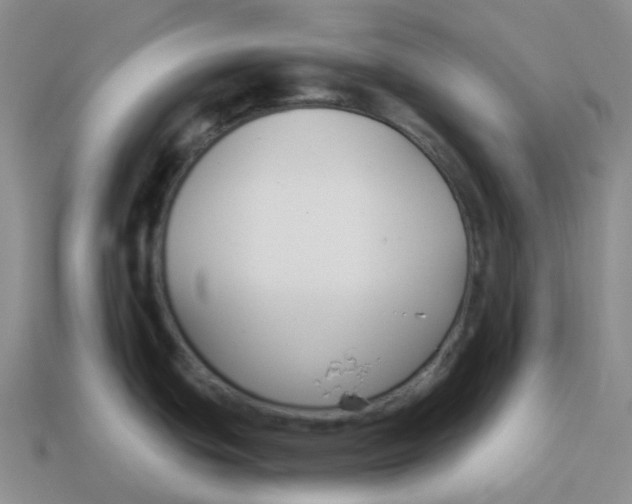 X0000114211439200911061436