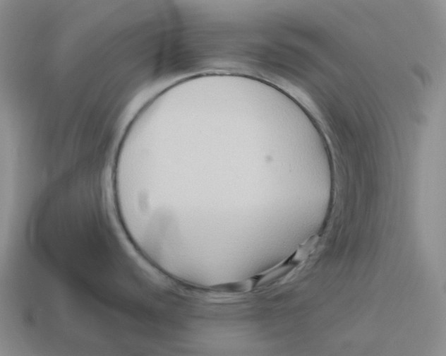 X0000114211440200911061436