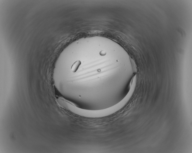 X0000114211441200911061435