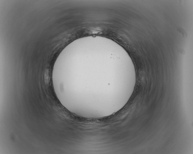 X0000114211442200911061435