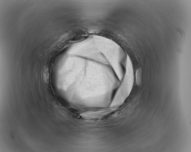 X0000114211443200911061435