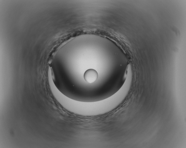 X0000114211445200911061435