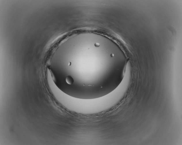 X0000114211448200911061435