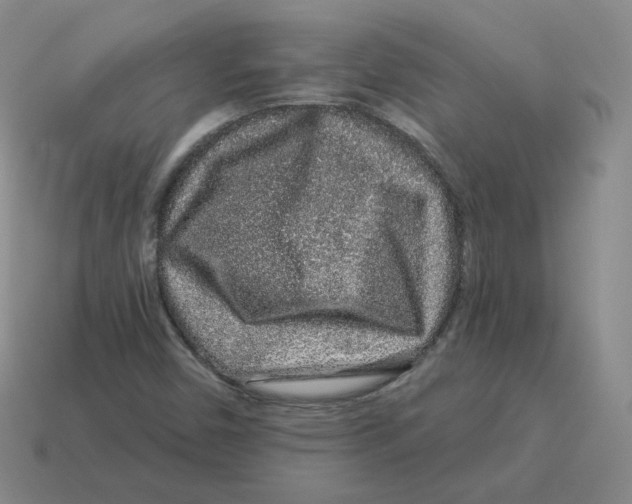 X0000114211450200911061435