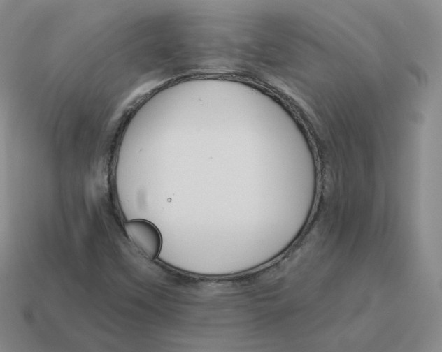 X0000114211451200911061435