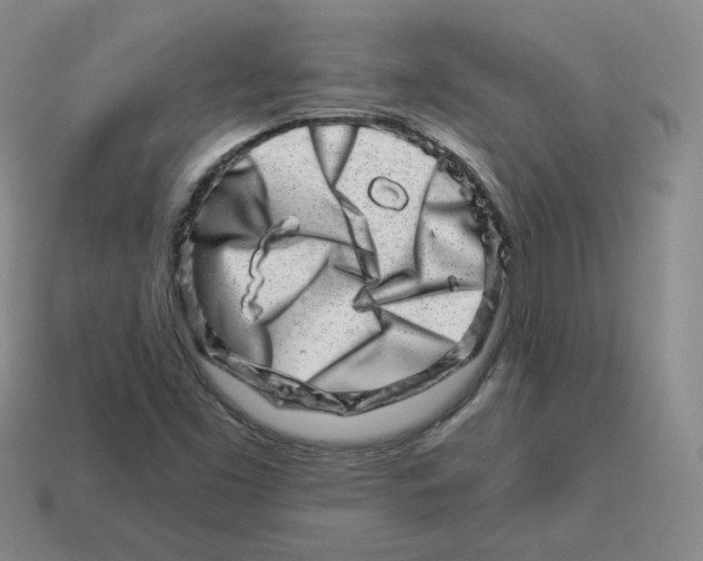 X0000114211453200911061435