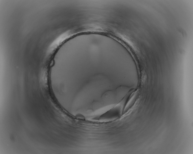 X0000114211455200911061435