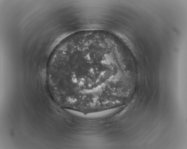 X0000114211457200911061435