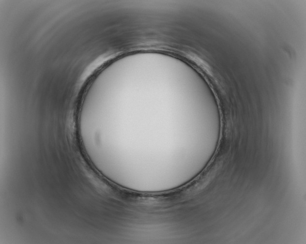 X0000114211458200911061435