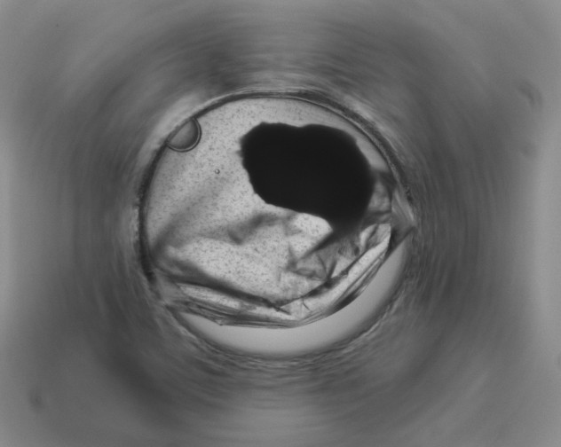 X0000114211459200911061435