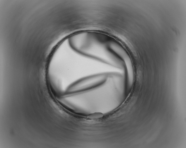 X0000114211460200911061435