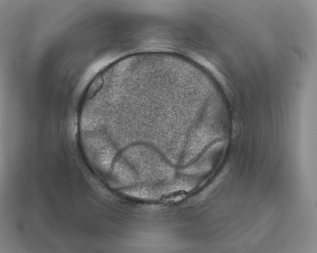 X0000114211461200911061435