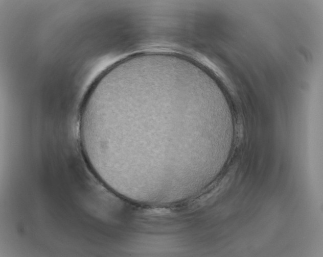 X0000114211462200911061435