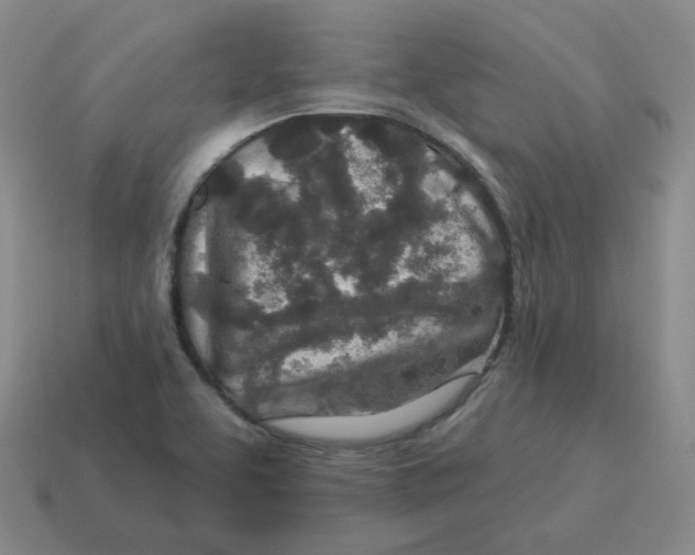 X0000114211463200911061435