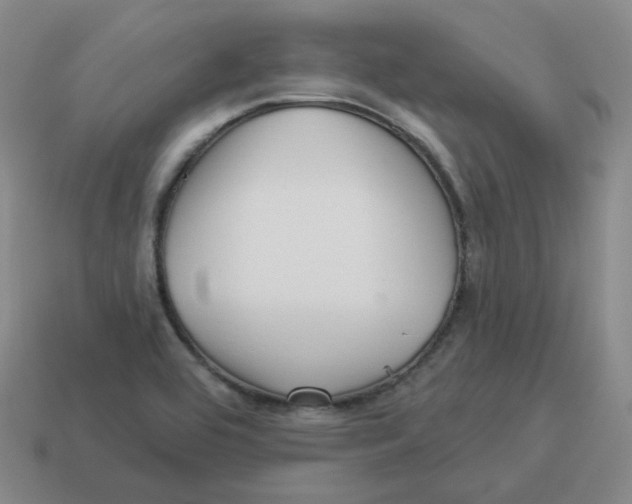 X0000114211464200911061435