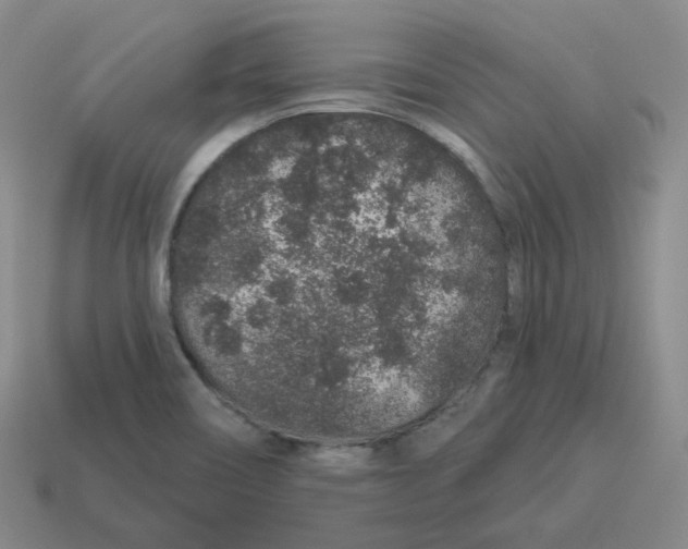 X0000114211466200911061435