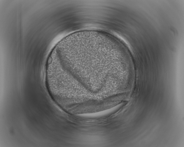 X0000114211467200911061435