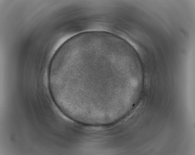 X0000114211468200911061435