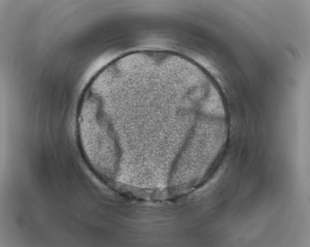 X0000114211469200911061435