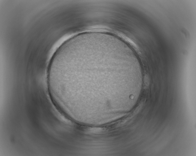 X0000114211470200911061435