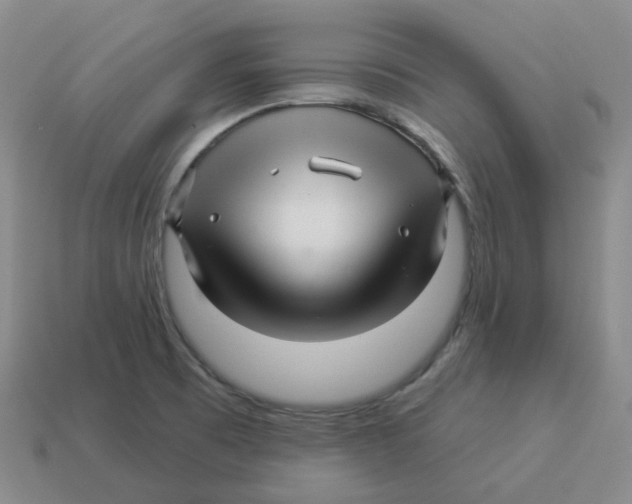 X0000114211473200911061435