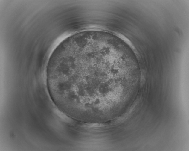 X0000114211474200911061435