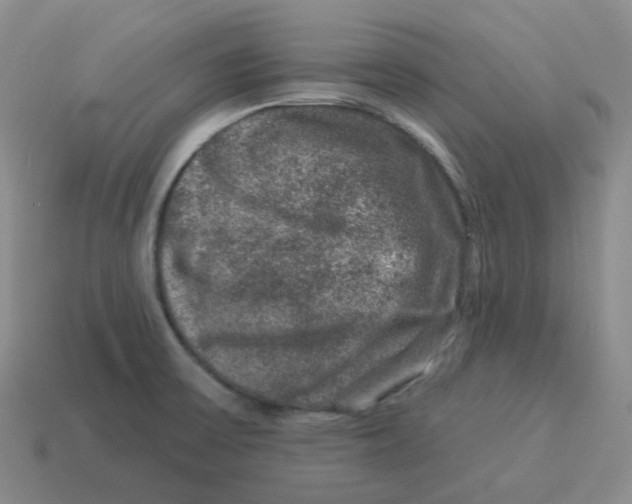 X0000114211475200911061435