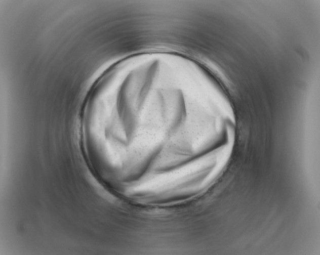 X0000114211476200911061435