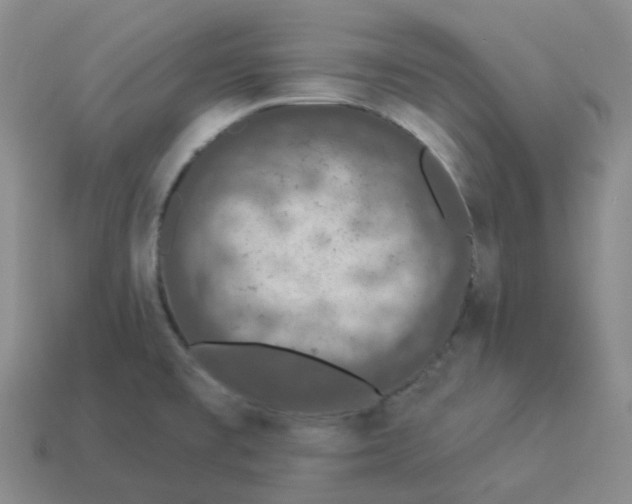 X0000114211477200911061435