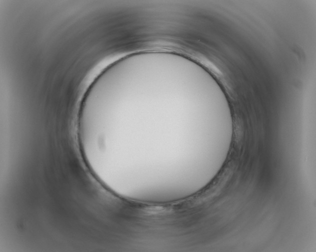 X0000114211478200911061435