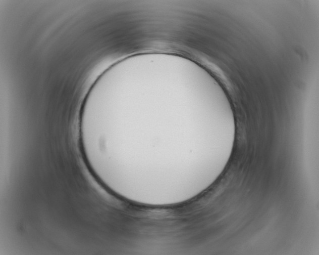 X0000114211479200911061435