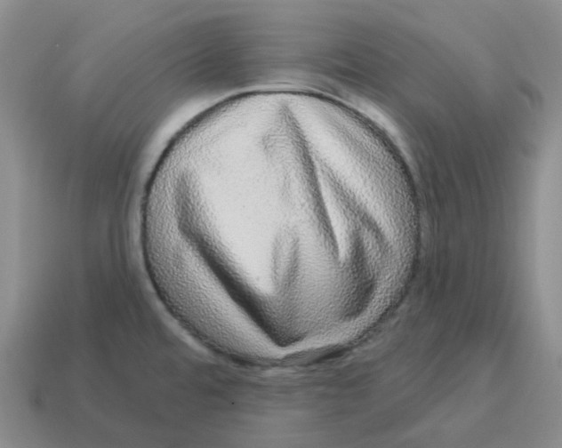 X0000114211480200911061435