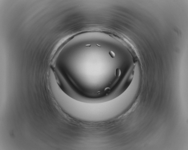 X0000114211481200911061435