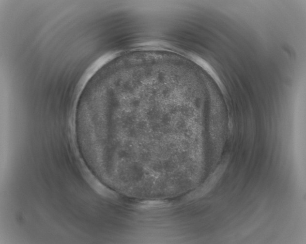 X0000114211482200911061435