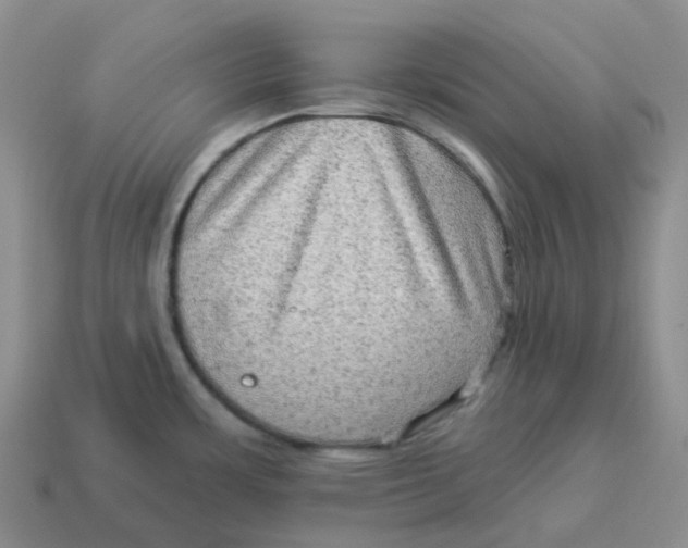 X0000114211483200911061435