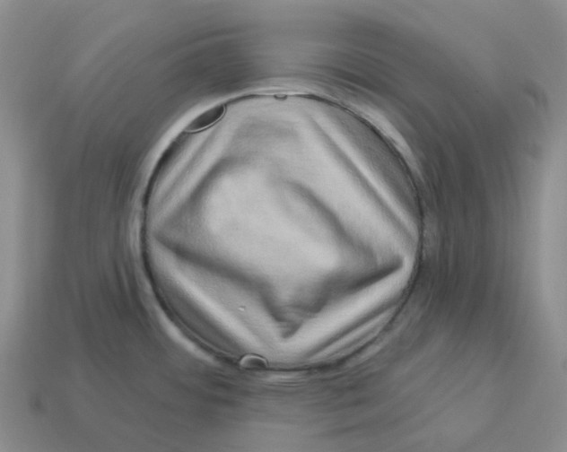 X0000114211484200911061435