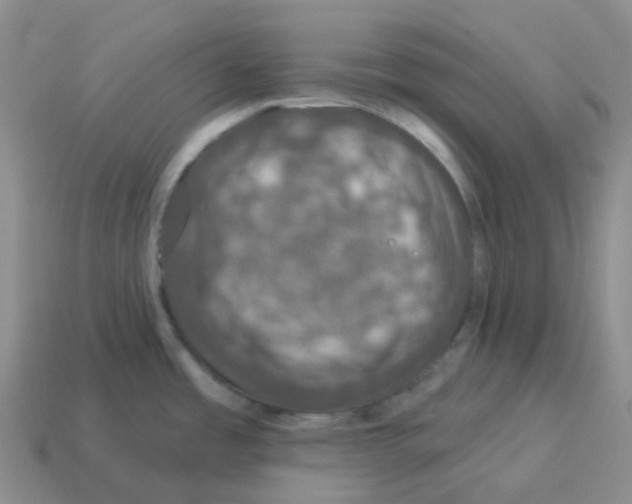 X0000114211485200911061435