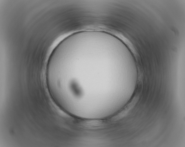 X0000114211486200911061435