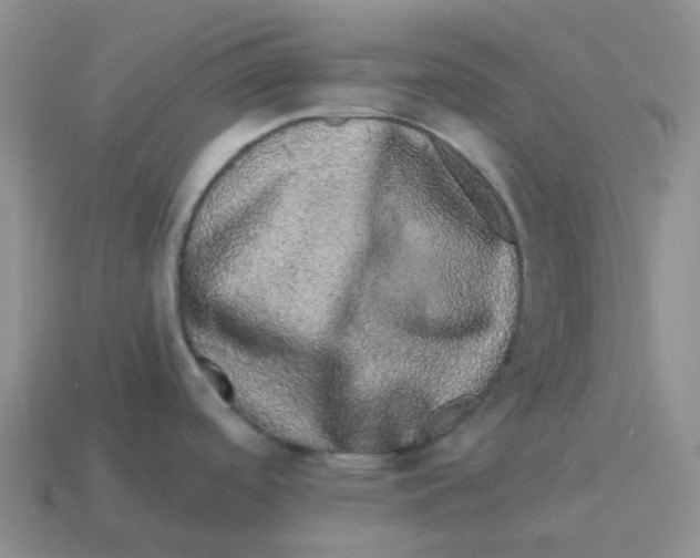 X0000114211488200911061435