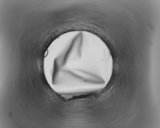 X0000114211490200911061434