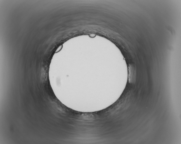 X0000114211491200911061434