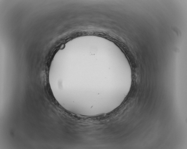 X0000114211493200911061434