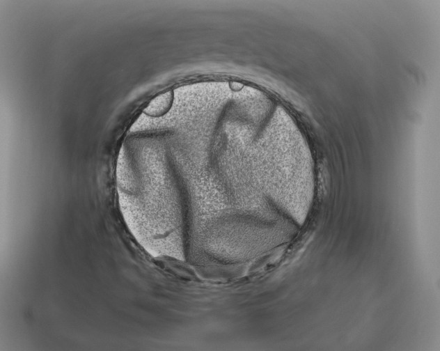 X0000114211494200911061434