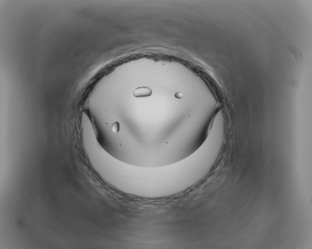 X0000114211496200911061434